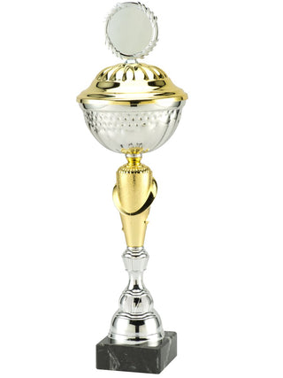 50132 trofee, zilver/goud, 30 cm - 49 cm