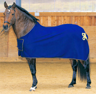 Parade plafond / Fleece koelers met opdruk op de borst